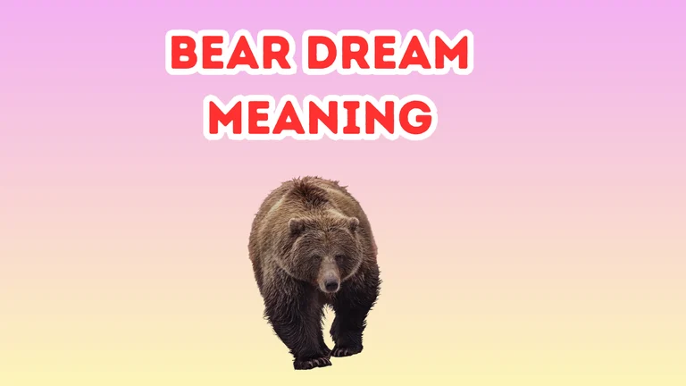 Bear Dream Meaning