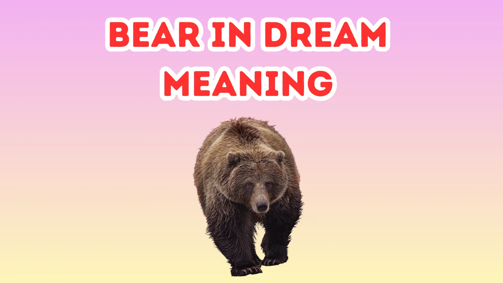 Bear In Dream Meaning