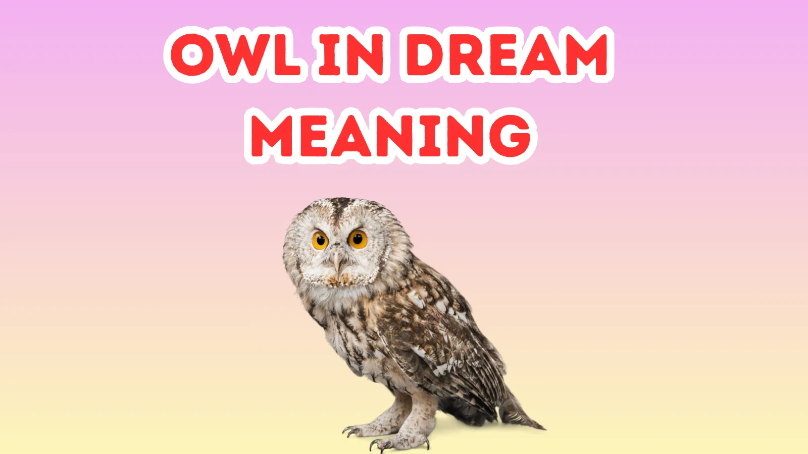 Owl In Dream Meaning