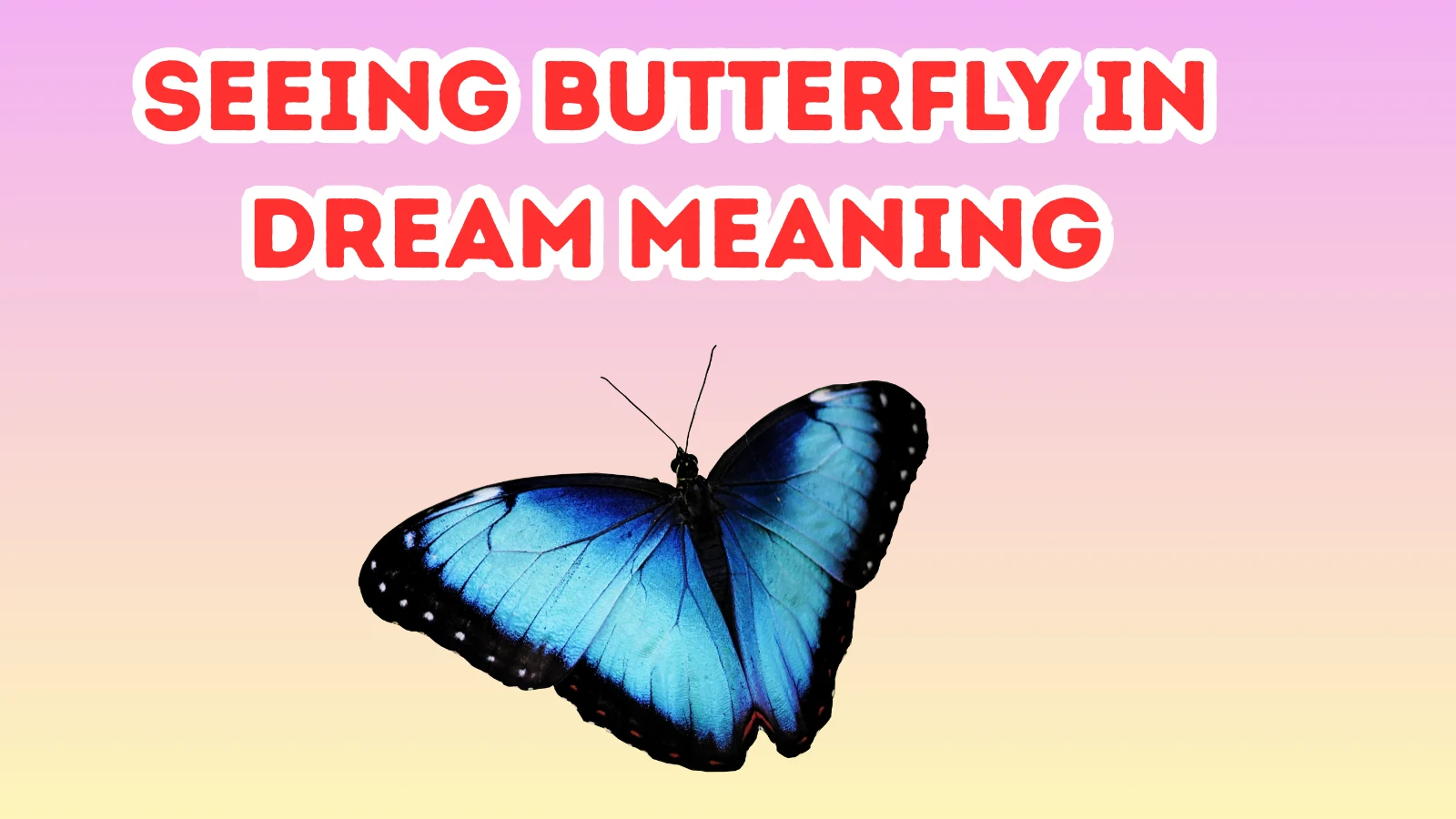 Seeing Butterfly In Dream Meaning