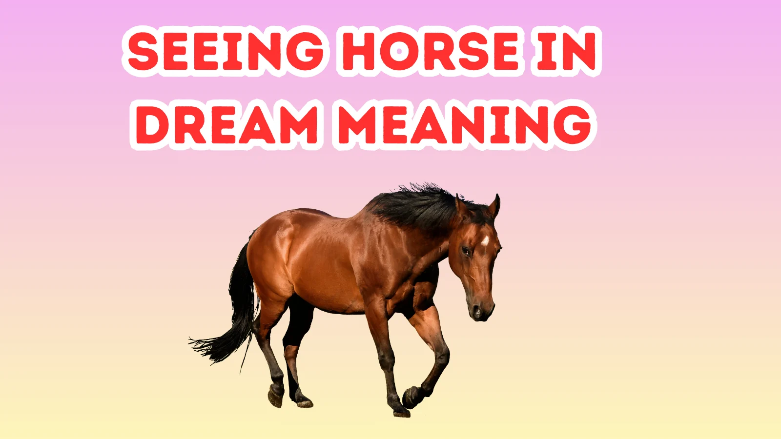 Seeing Horse In Dream Meaning