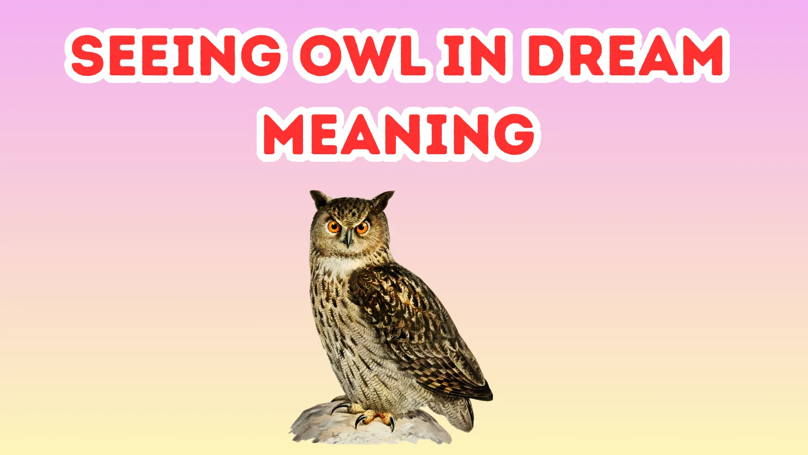 Seeing Owl In Dream Meaning