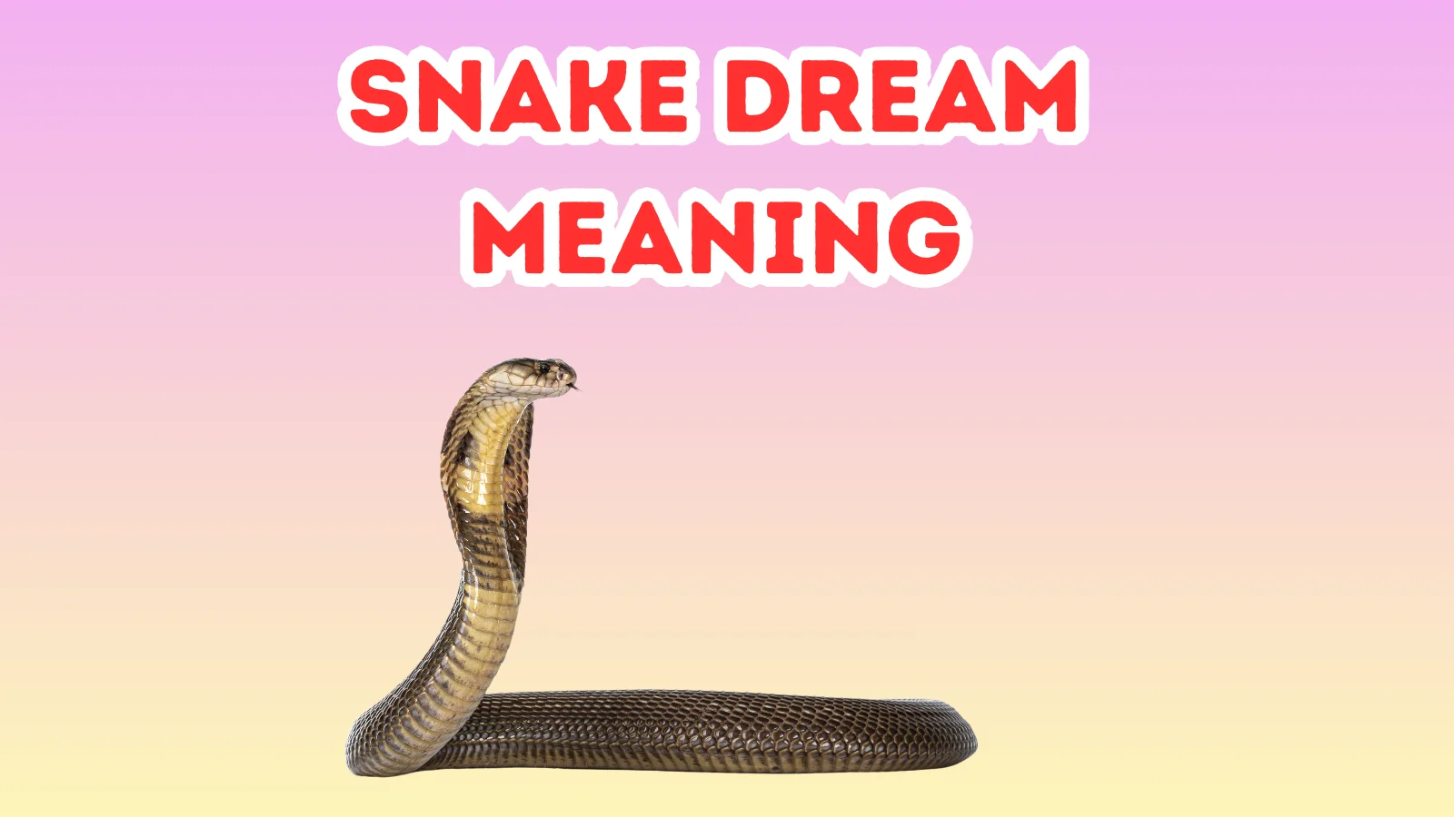 Snake Dream Meaning