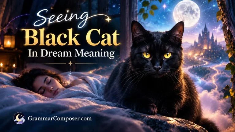 Seeing Black Cat In Dream Meaning