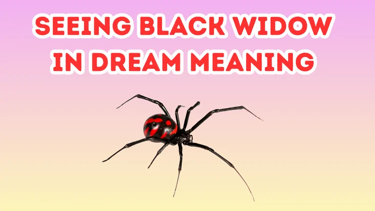 Seeing Black Widow In Dream Meaning