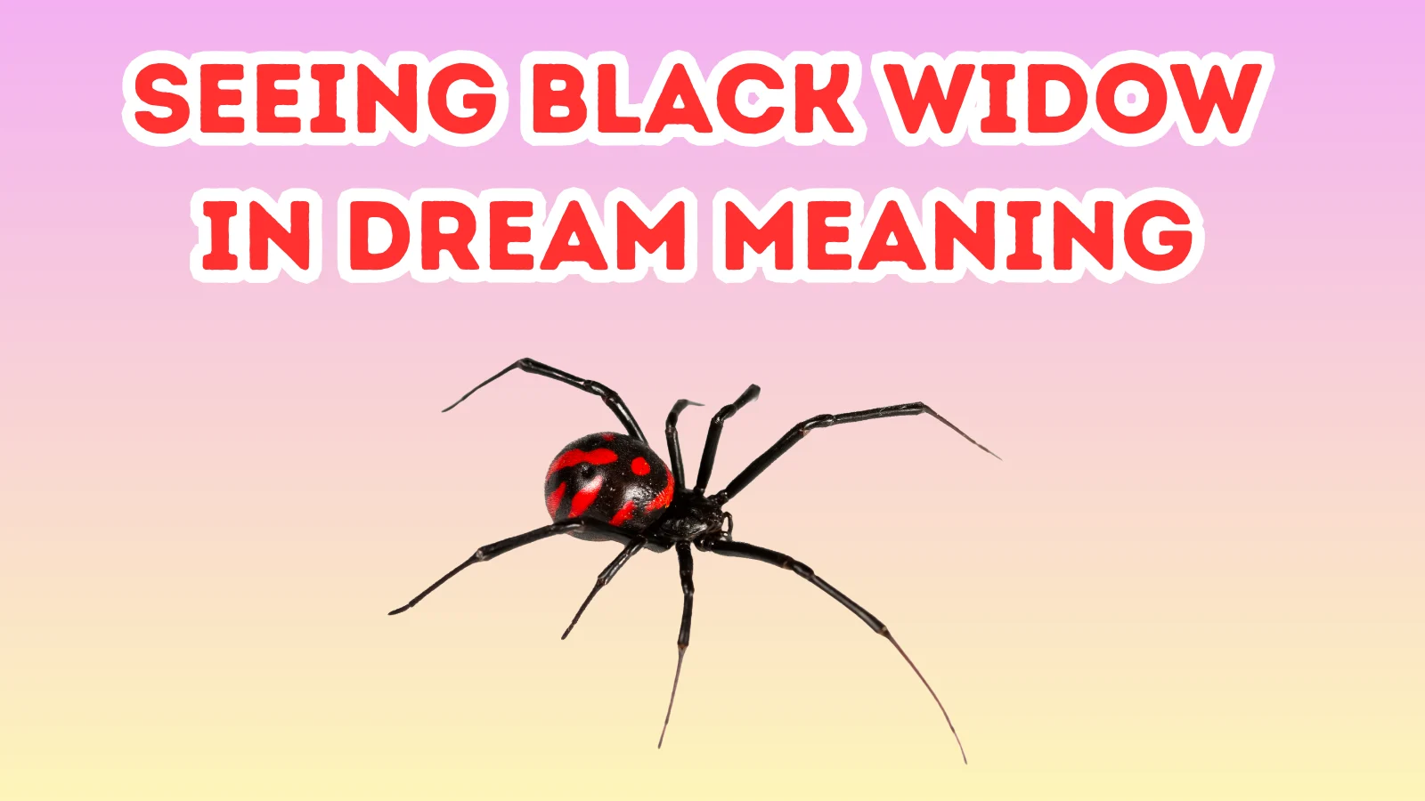 Seeing Black Widow In Dream Meaning