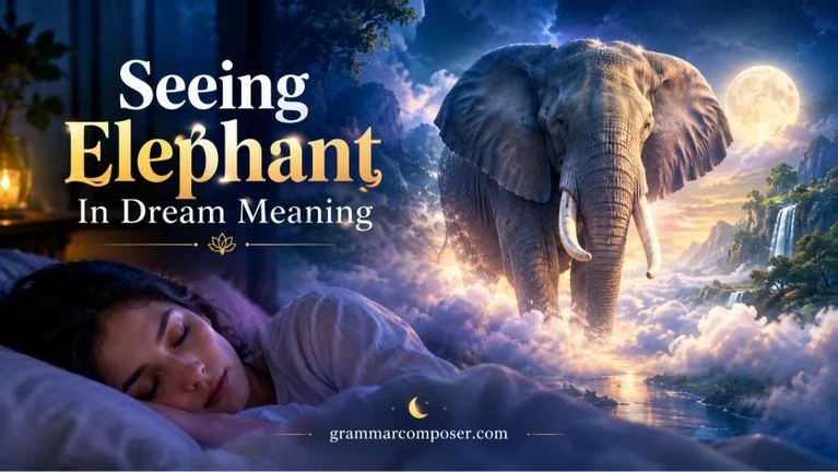 Seeing Elephant In Dream Meaning