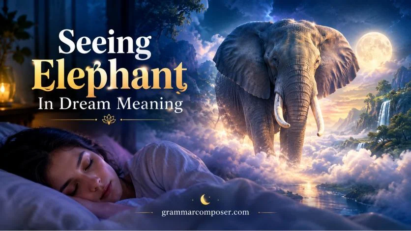 Seeing Elephant In Dream Meaning