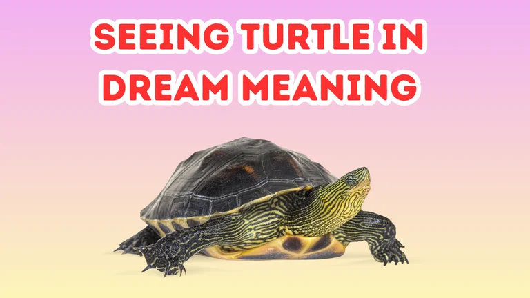 Seeing Turtle in Dream Meaning