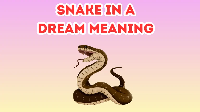 Snake In A Dream Meaning