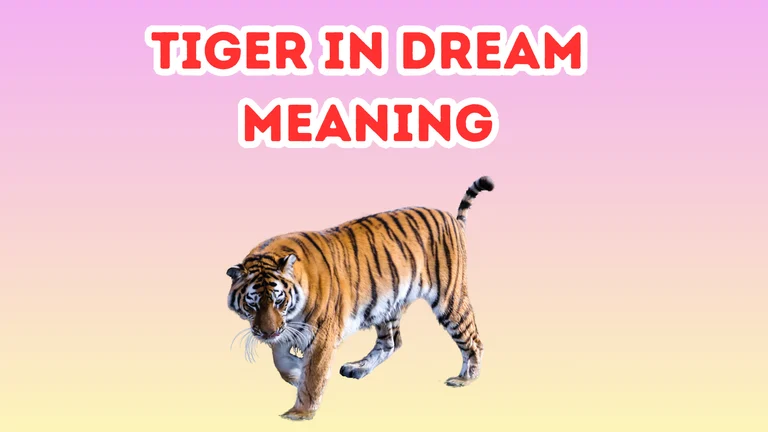 Tiger In Dream Meaning