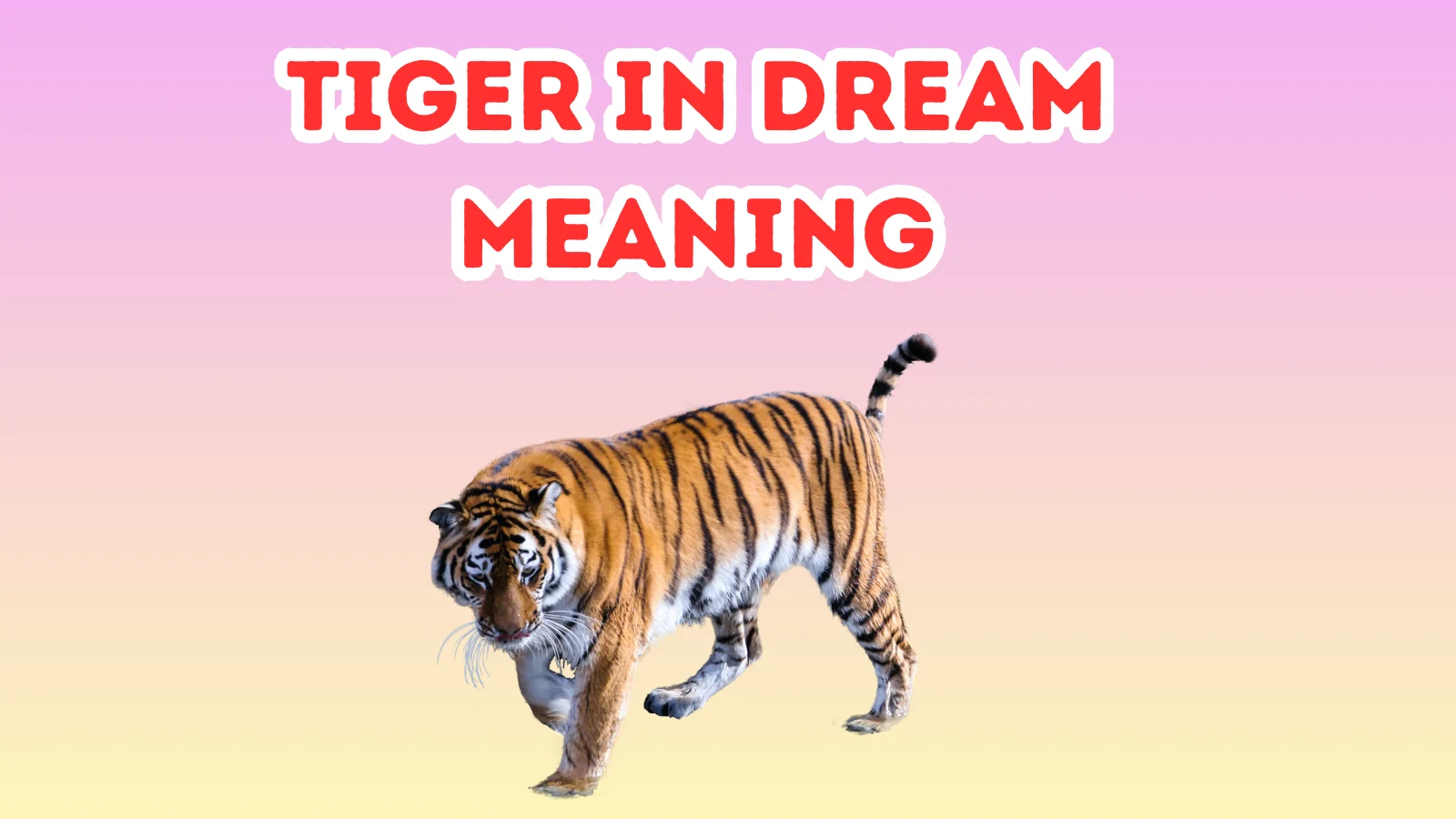 Tiger In Dream Meaning